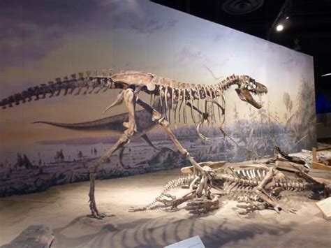 Photos of Drumheller, The Dinosaur Capital of Canada | JetSetCitizen.com