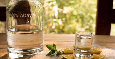 Mahahual: Authentic Mezcal & Tequila Tasting Experience