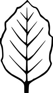 Free Leaf Cliparts Outline, Download Free Leaf Cliparts Outline png images, Free ClipArts on ...