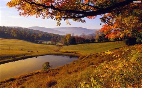 Vermont Fall Foliage Tours - Vermont Maturity