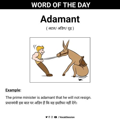 Word of the Day: Adamant | Interesting english words, English words ...