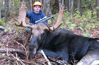 Maine Moose Hunt Fully guided Jackman Maine Moose Permit Hunting Zone 8 Maine Moose Population ...