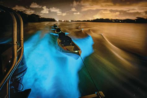 Fire in the water: The magical, bioluminescent glow of North Florida’s Indian River Lagoon ...