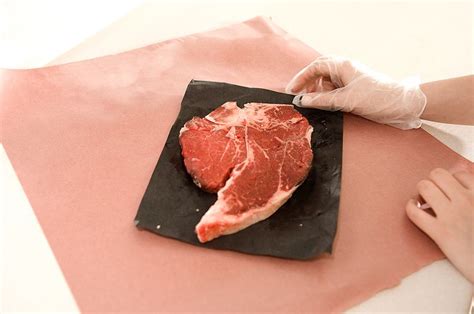 Raw meat-based diets, both commercial and home-made are increasing in popularity. You likely ...