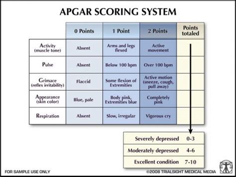 Apgar Score, The First Evaluation Of Your Baby | Apgar score, Nursing ...