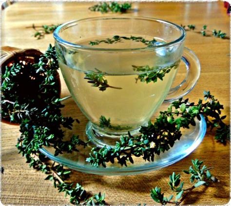 Thyme Tea | Thyme tea, Herbalism, Healthy homemade