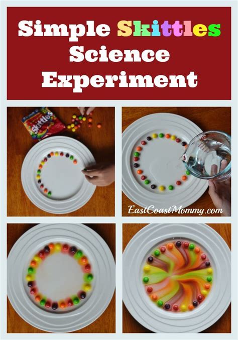 Simple Skittles Science Experiment | Science experiments, Easy science ...