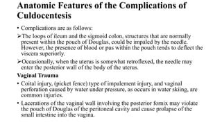 L4- PELVIC CAVITY PART 2-1.pptx