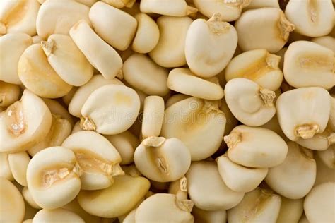 Dried Maize Mote stock photo. Image of cooking, hominy - 28413008