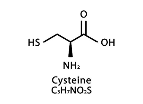 Cysteine Molecular Structure Cysteine Skeletal Chemical Formula Chemical Molecular Formula ...