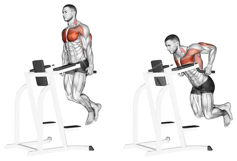 Best Chest Workout - Meanmuscles