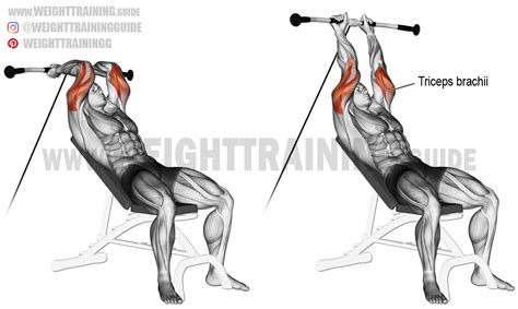 Incline cable triceps extension exercise instructions and video