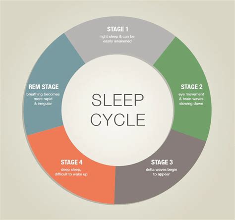 Facts On The Sleep Cycle Of A Kid That Enhances A Child's Brain Development