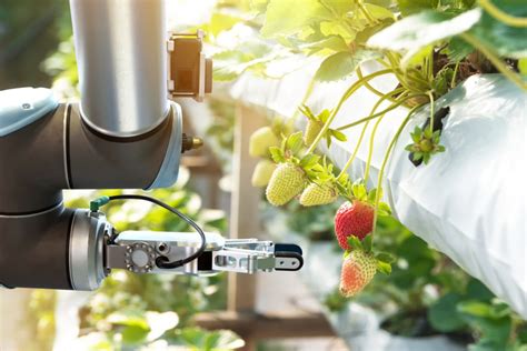 Outlook: 4 Ways Robotics Will Change Agriculture in 2019