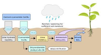 Calcium cyanamide - Alchetron, The Free Social Encyclopedia