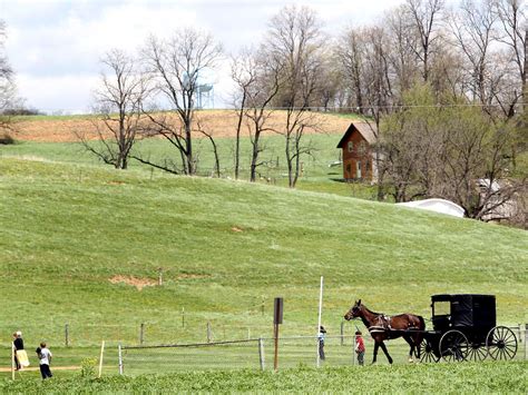 Measles Hits Amish Communities, And U.S. Cases Reach 20-Year High ...