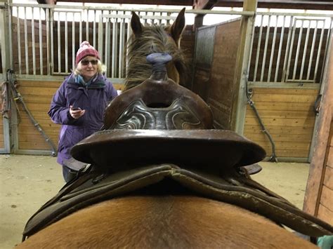 Does this saddle fit? | The Horse Forum