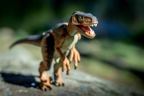 Velociraptor | Tomi Lattu | Flickr