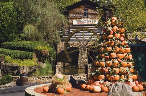 Pigeon Forge Fall Foliage Is in the Weather Forecast!