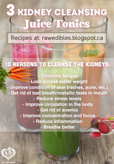 Juicing Recipes For Kidney Disease | Dandk Organizer