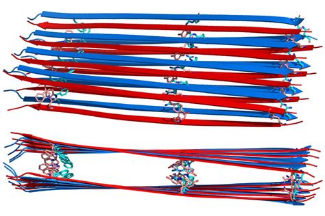 Chemists discover structure of glucagon fibrils | MIT News | Massachusetts Institute of Technology