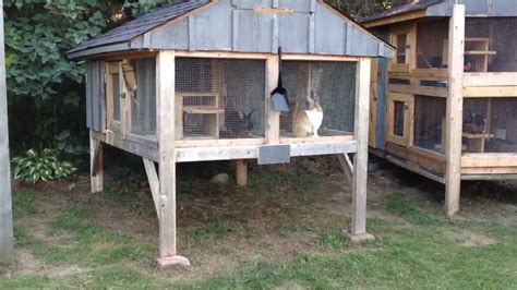 Design 55 of Rabbit Hutches Designs | indexofmp3goldencompa69782