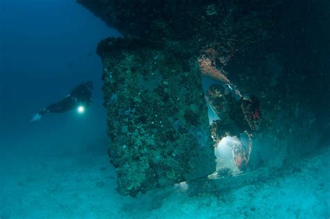 Scuba diving in South Ari Atoll, Maldives | ZuBlu