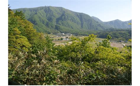 View of Ulleungdo Island, South Korea. | Download Scientific Diagram