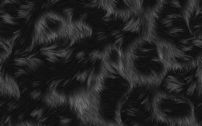 Download wallpapers black fur texture, macro, animal fur, brown black fur, black fur backgrounds ...