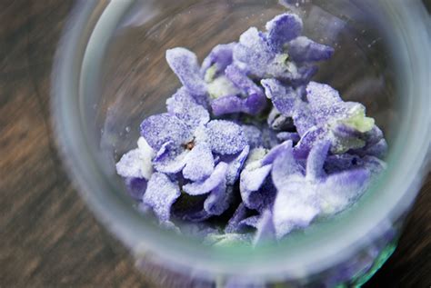 candied violets recipe | use real butter