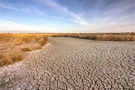 Zimbabwe finally declares the drought a disaster | Knysna-Plett Herald