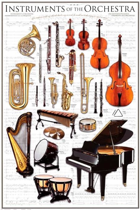 Amazon.com: Instruments Symphony Orchestra Poster 24 x 36in: Prints: Posters & Prints