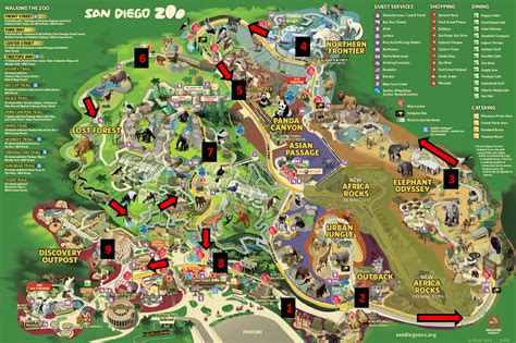 San Diego Zoo Map Printable