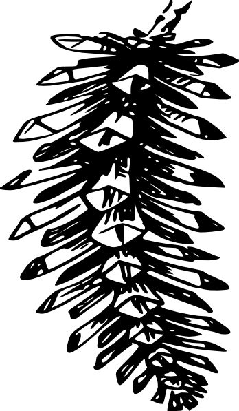 Free Pine Cone Clipart Black And White, Download Free Pine Cone Clipart Black And White png ...