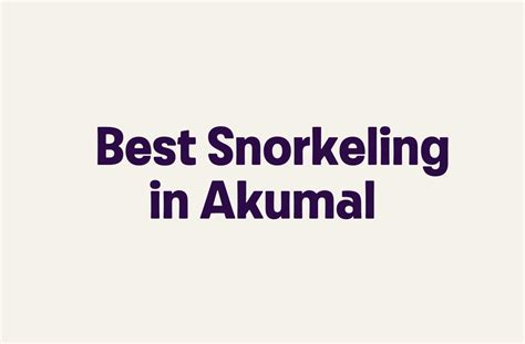 Best Snorkeling in Akumal