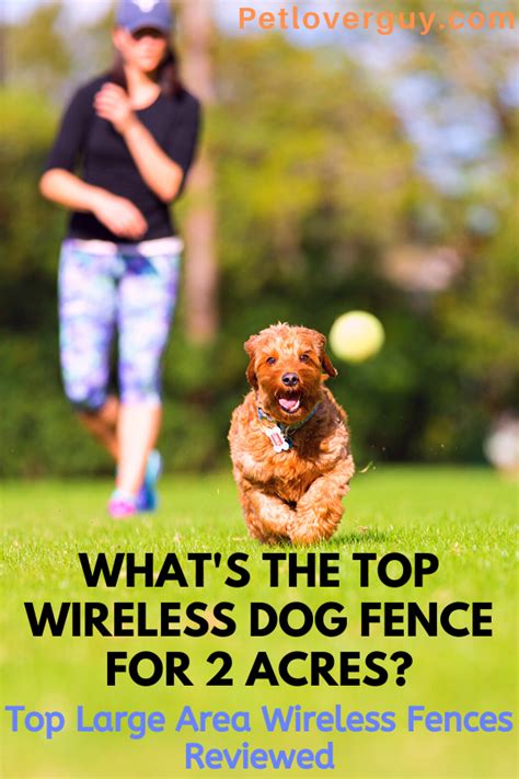 What's the Top Wireless Dog Fence for 2 Acres? Top 5 Reviewed