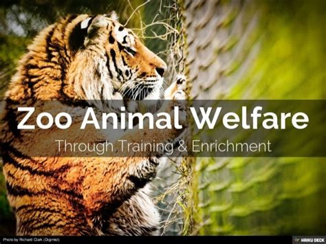 Zoo Animal Welfare