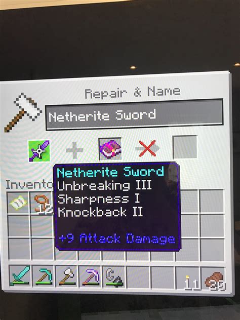 Why can’t I put bane of arthropods 1 on my enchanted netherite sword??? : r/Minecraft