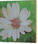 White Flower Painting by Jelly Starnes | Fine Art America