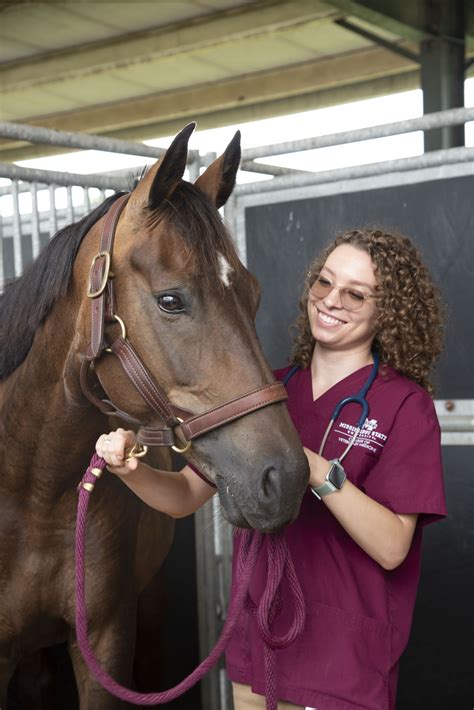 Mississippi State Vet School Application – CollegeLearners.com