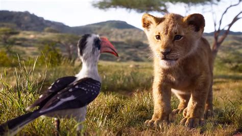 The 12 Animals in the Emotional New Lion King Trailer, Ranked | GQ