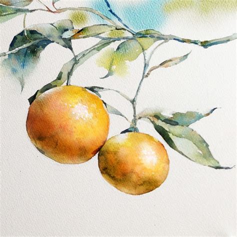 Watercolor Fruit Painting at PaintingValley.com | Explore collection of Watercolor Fruit Painting