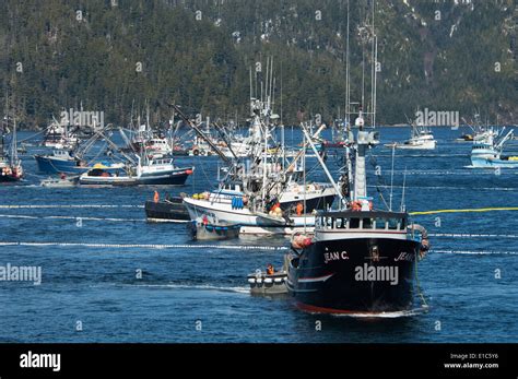 A fleet of herring boats, fishing boats with large net booms Stock ...