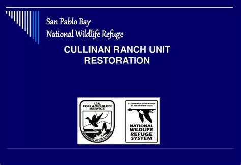 PPT - San Pablo Bay National Wildlife Refuge PowerPoint Presentation, free download - ID:525773