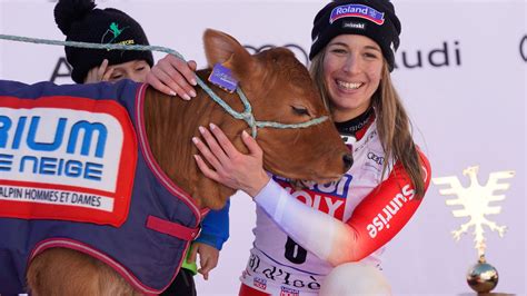 Fans in stitches as skiing star wins a COW at World Cup event - but it ...