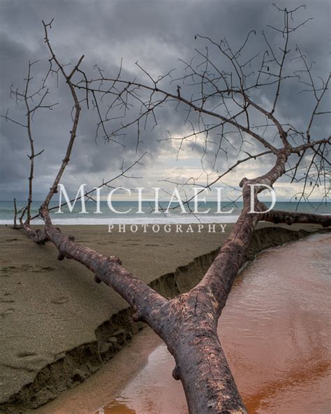 Michael D Photography | Gallery