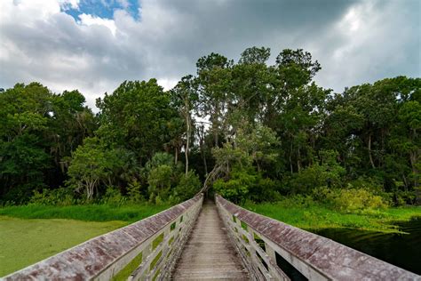 OCALA NATIONAL FOREST: An (Epic) Guide to Florida's Hidden Gem