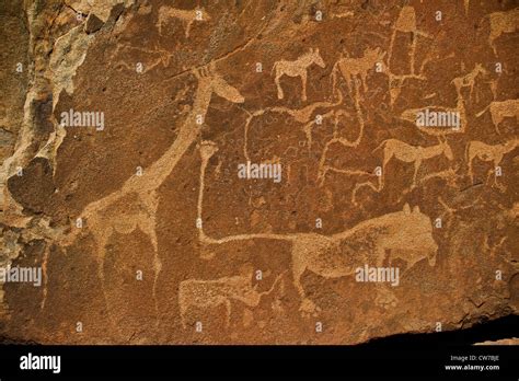 Twyfelfontein bushman rock paintings, Namibia Stock Photo - Alamy