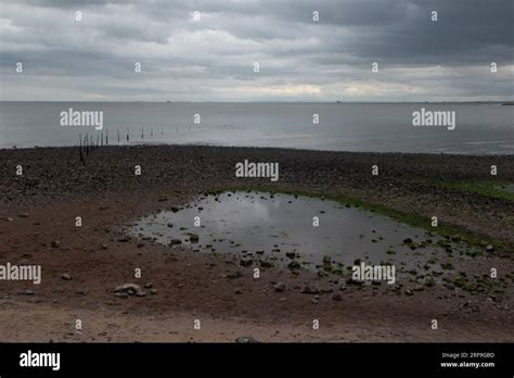 Tidal Pool, Minehead beach, Somerset, England, UK Stock Photo - Alamy