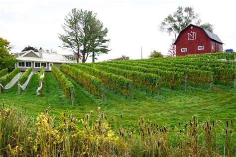 Traverse City Fall Colors: The Most Beautiful Drive through Northern ...